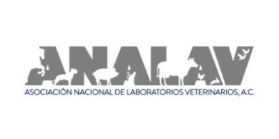 Colaborador 1