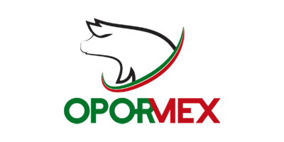 Colaborador 12