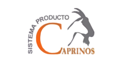 Colaborador 13