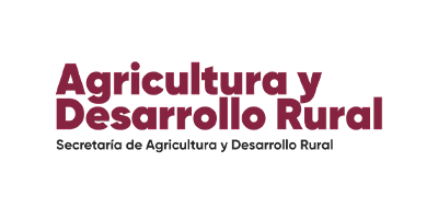 Colaborador 18