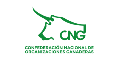 Colaborador 8